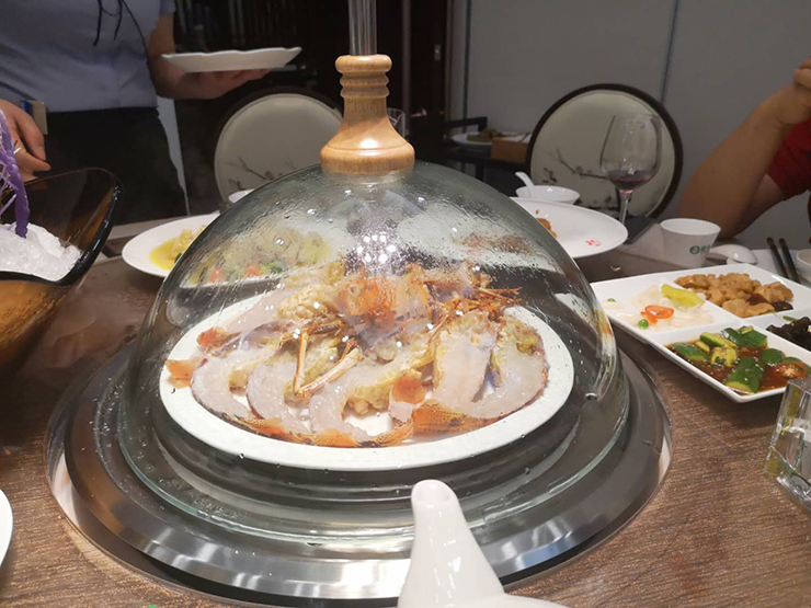 金利集成灶看好健康餐飲，預(yù)計投資千萬進(jìn)軍大健康文化產(chǎn)業(yè)