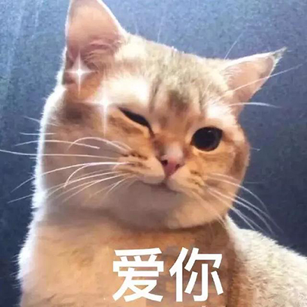 金利集成灶：520最好的告白，是為心愛的人做一輩子的飯