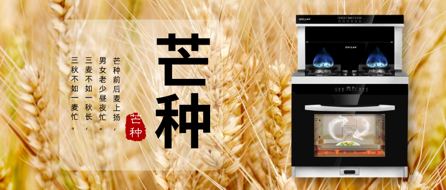 金利集成灶：今日芒種，高溫即將席卷而來，你準備好接招了嗎？